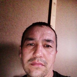 , 37, 