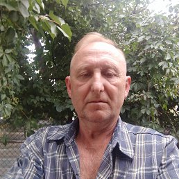 , 55, 