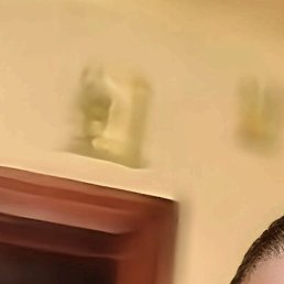 �������, ����������, 37 ���