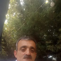 , 50, 