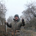 ���� ������, ������, 52 ���� - ��������� 8 ������� 2025 � ������ ���� ����������