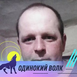 , 35, 