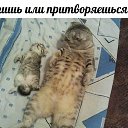 ���� ����..., ������ - ��������� 12 ������ 2025 � ������ ������ ��������
