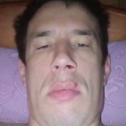Bbgf, , 40 