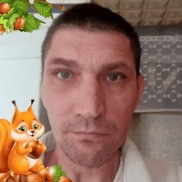 ������, ������, 51 ���