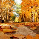 ���� ����, ������ - ��������� 24 ������ 2023 � ������ ������ ��������