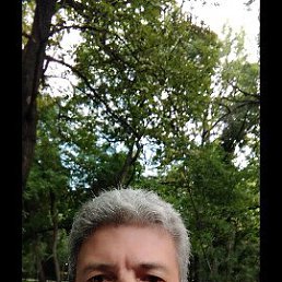, 47, 