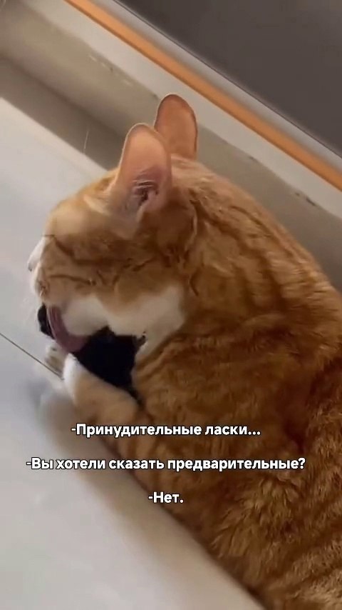   ) - 2