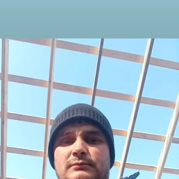 , 35, 