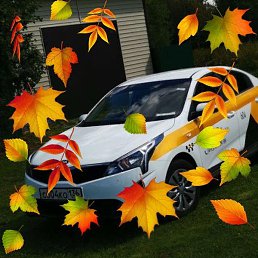 ��������, ������, 37 ���