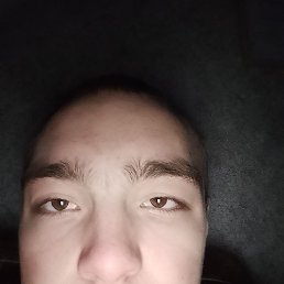 ������� �����, ����, 37 ���