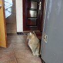 ���� ����, ����� - ��������� 22 ������ 2025 � ������ ������ ��������