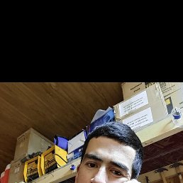 , 33, 