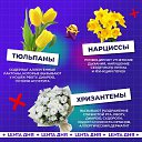 ���� ���� ���������, ��������, 44 ���� - ��������� 9 ������ 2025 � ������ ���� ����������