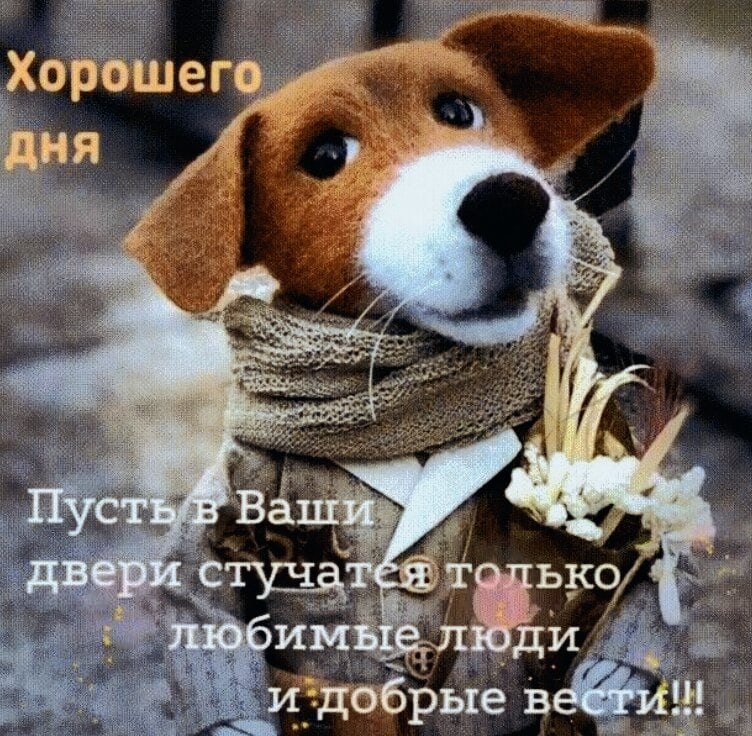   ,    . - 5  2025  00:31