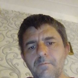 , 40, 