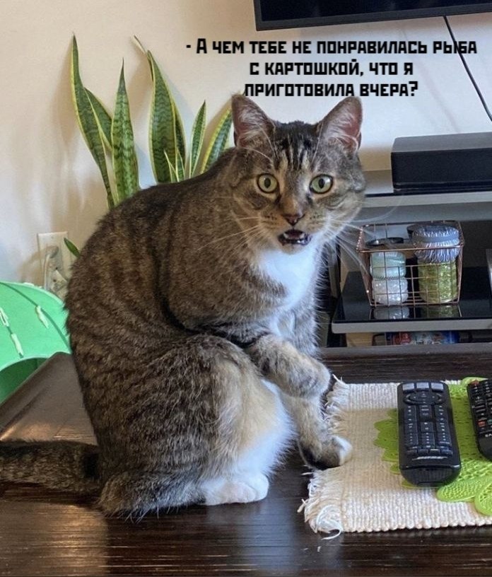 ��� ���� � ����� �� �� - 20 ����� 2026 � 13:00 - 2