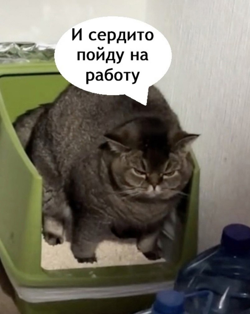  ,    ,       - 2