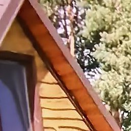 Sergey, �����, 45 ���