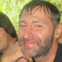 ���, ����-�����������, 46 ���