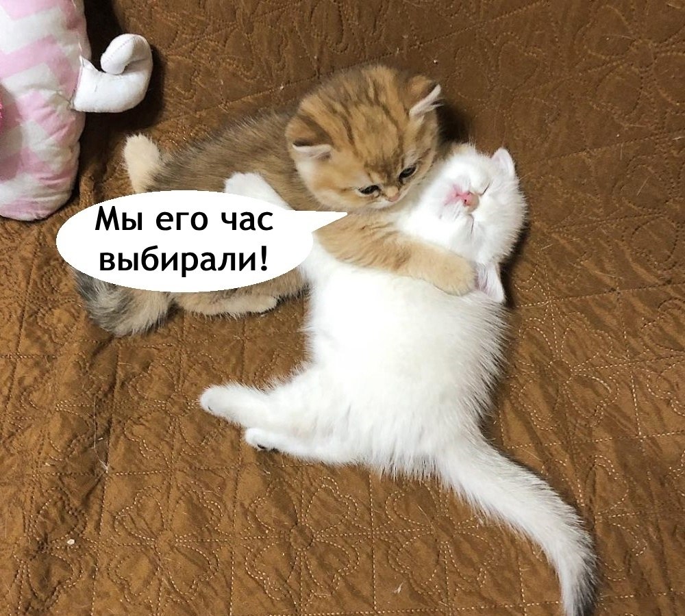 ? - 2