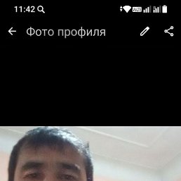 �����, 40 ���, �������