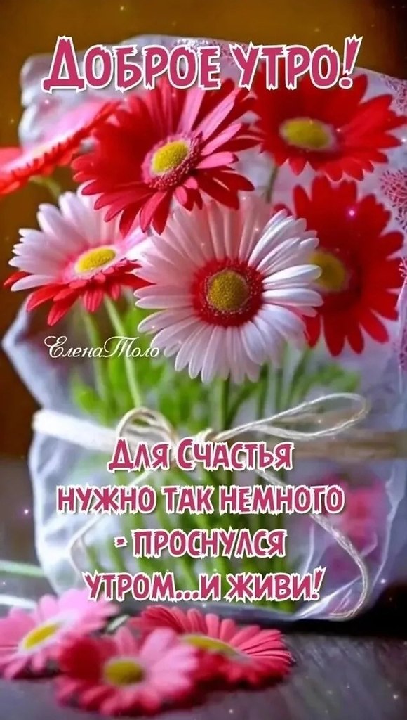   ,    . - 16  2024  22:33 - 2