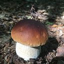 ���� ����, �����������, 67 ��� - ��������� 5 ������� 2024 � ������ ���� ����������