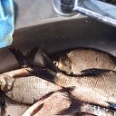 ���� �����, ��������� - ��������� 6 ������ 2024 � ������ ���� ����������