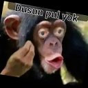 ���� Saparik, ������, 37 ��� - ��������� 9 ������ 2024 � ������ ���� ����������