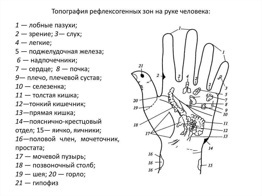 Где Находится Безымянный Палец На Руке Фото