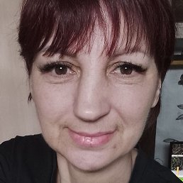 ������, ����������, 41 ���