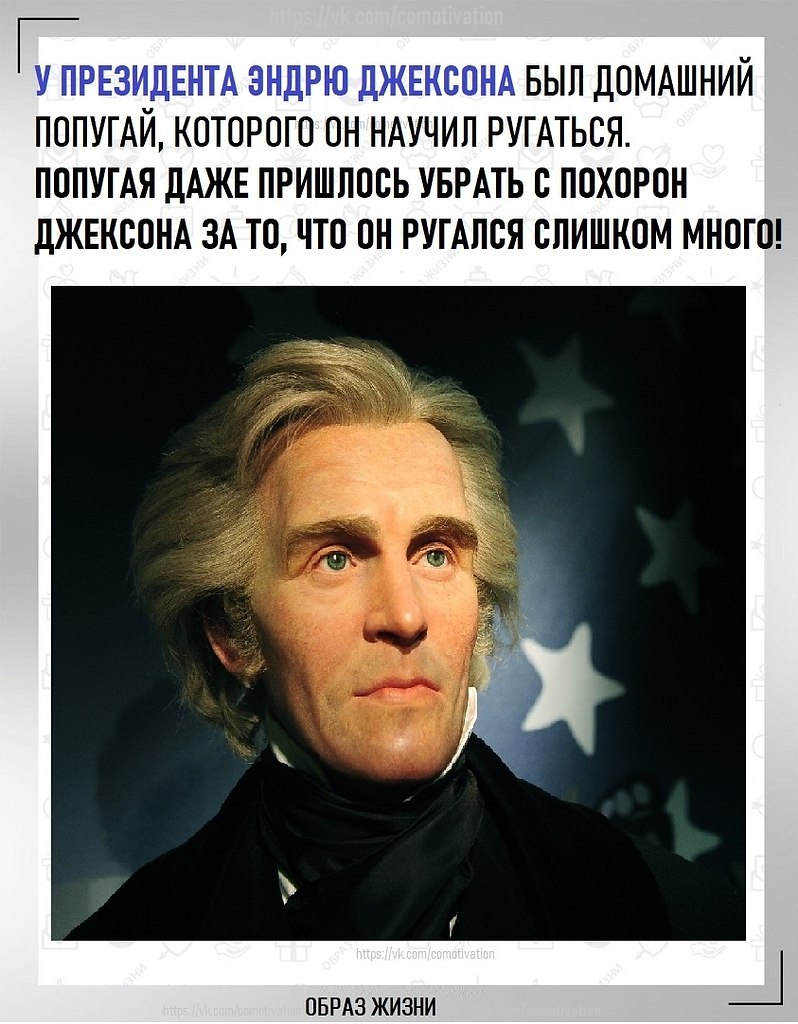 �������. - 6