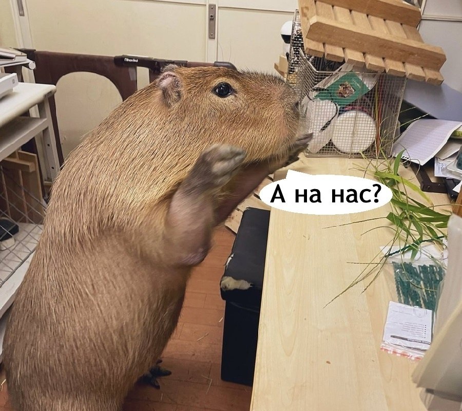   - 7  2025  18:07 - 3