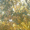 ���� �������, ������, 31 ��� - ��������� 22 ������� 2023 � ������ ���� ����������
