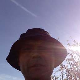 �������, ������, 37 ���