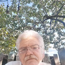 , 65 , 