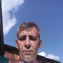 , 42, 