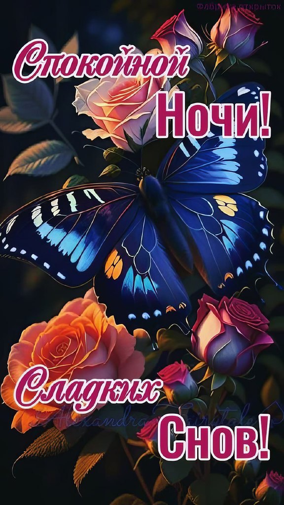   ,    . - 25  2025  21:48