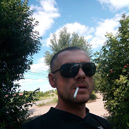 , 37 , 