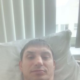 ���������, 40 ���, ������