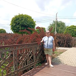 ���� �����, ����, 62 ���� - ��������� 10 ������� 2026