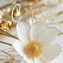 ���� �����, ������, 54 ���� - ��������� 14 ������� 2025