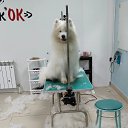 ���� �������, ����, 48 ��� - ��������� 17 ���� 2024 � ������ ���� ����� ������ ������ � ����!�