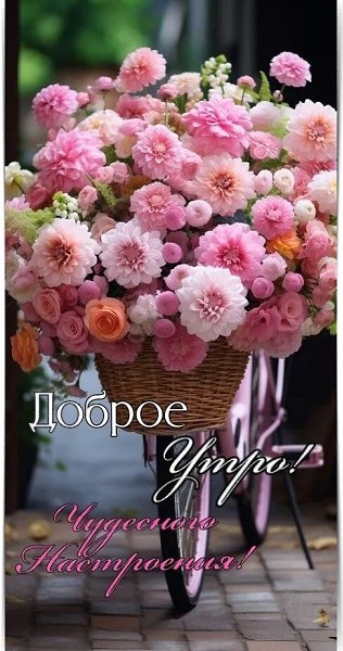 Доброе утро! Пускай новый день будет наполнен лучами успеха, бликами радости, солнечным светом... и ...