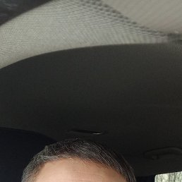 , 44, 
