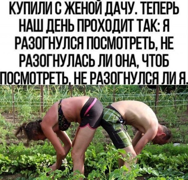  - 11  2025  08:21