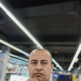 , 41, 