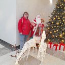 ���� ����, ����������, 47 ��� - ��������� 9 ������ 2025 � ������ ���� ����������