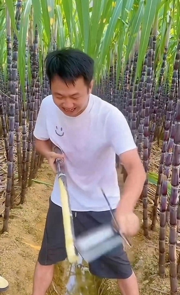      .     